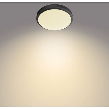 Philips - Стельовий LED світильник для ванної LED/6W/230V IP44