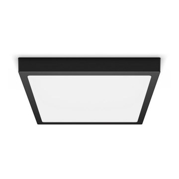Philips - Стельовий LED світильник LED/20W/230V 2700K чорний