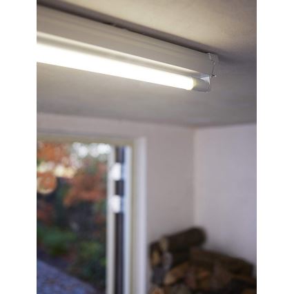 Philips - Светодиодная люминесцентная лампа G13/8W/230V 4000K