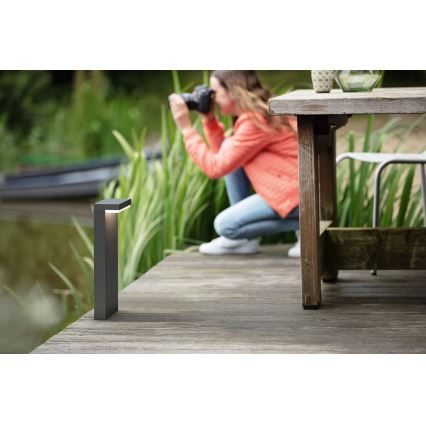 Philips - Светодиодная уличная лампа BUSTAN LED/3,8W/230V 2700K 40 см IP44