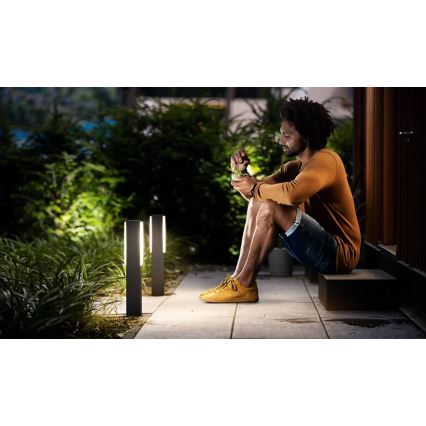 Philips - Светодиодная уличная лампа STRATOSPHERE LED/3,8W/230V 42 см 2700K IP44