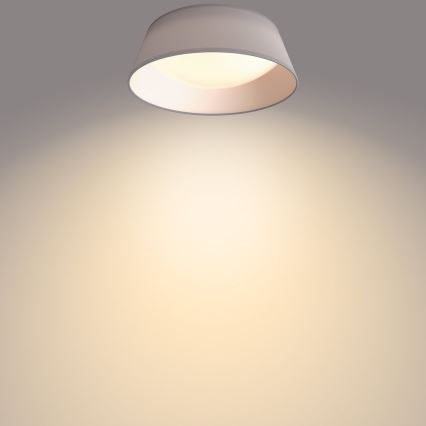 Philips - Светодиодный потолочный светильник DAWN LED/14W/230V серый