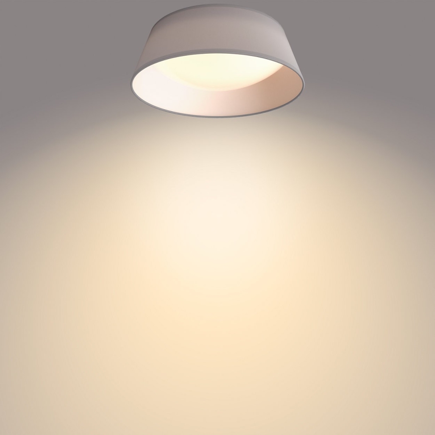 Philips - Светодиодный потолочный светильник DAWN LED/14W/230V серый