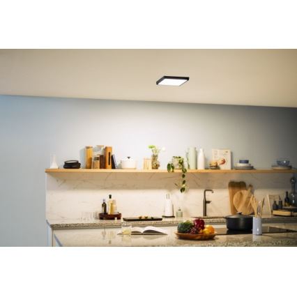Philips - Светодиодный потолочный светильник LED/12W/230V 2700K черный