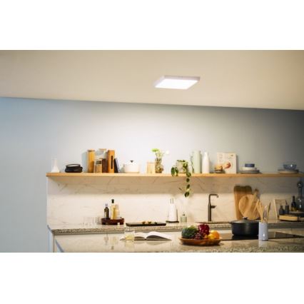 Philips - Светодиодный потолочный светильник LED/20W/230V 2700K белый