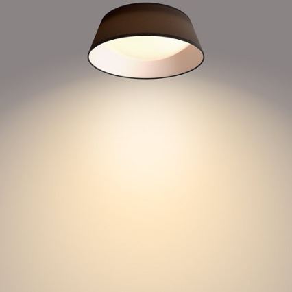 Philips - Светодиодный потолочный светильник LED/14W/230V черный