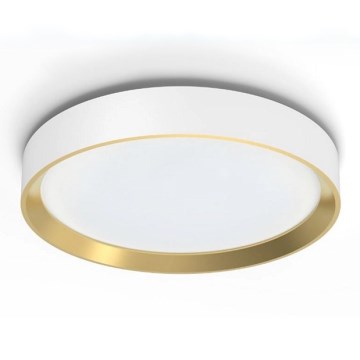 Philips - Светодиодный потолочный светильник с регулированием яркости HANNO SCENE SWITCH LED/24W/230V 4000K белый