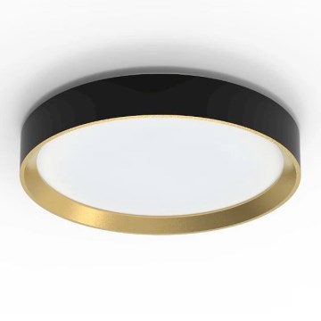 Philips - Светодиодный потолочный светильник с регулированием яркости HANNO SCENE SWITCH LED/24W/230V 4000K черный