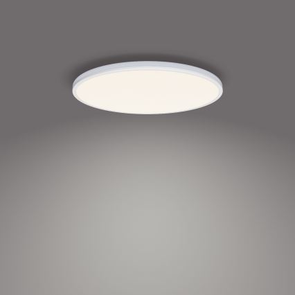 Philips - Светодиодный потолочный светильник с регулированием яркости SCENE SWITCH LED/22W/230V диаметр 40 см 4000K белый