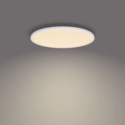 Philips - Светодиодный потолочный светильник с регулированием яркости SCENE SWITCH LED/36W/230V диаметр 50 см 2700K белый