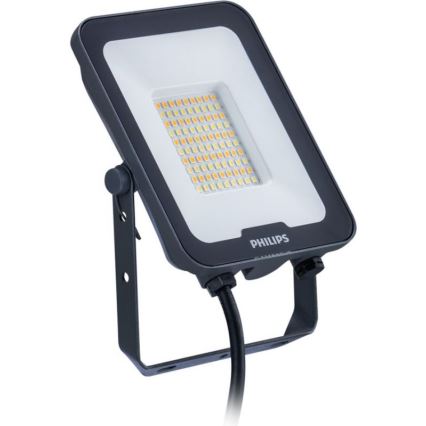 Philips - светодиодный прожектор LEDINAIRE ALL-IN LED/30 Вт/230 В 3000/4000/6500 К IP65