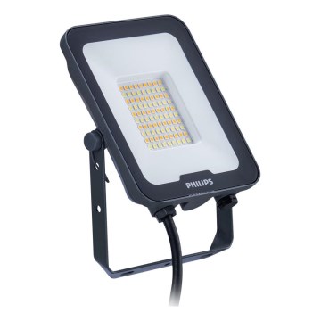 Philips - Светодиодный прожектор LEDINAIRE ALL-IN LED/50W/230V 3000/4000/6500K IP65 антрацит