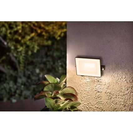 Philips - Светодиодный прожектор LOIS LED/10W/230V IP65 3000K