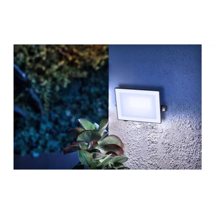 Philips - Светодиодный прожектор LOIS LED/20W/230V IP65 5000K