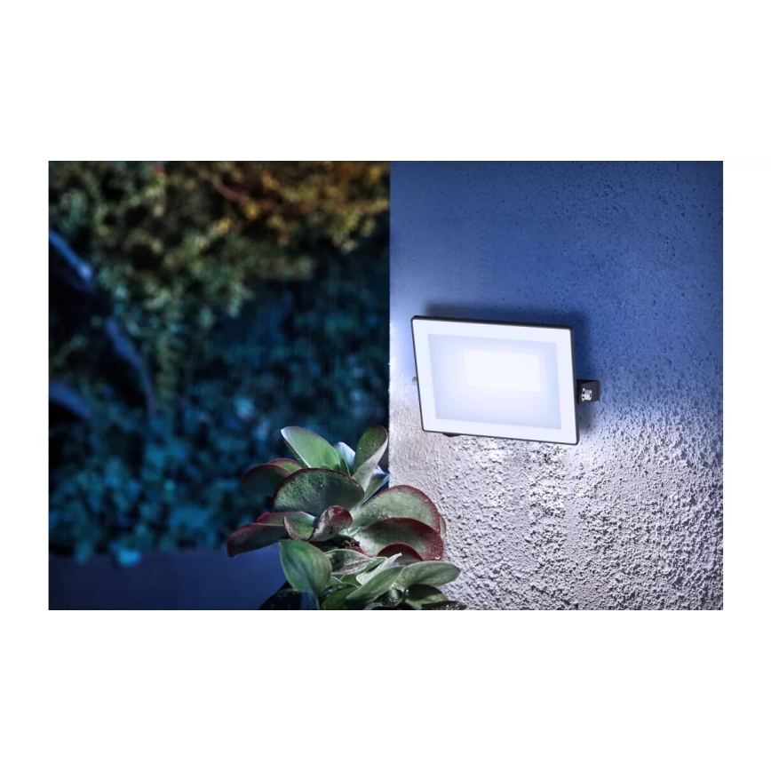 Philips - Светодиодный прожектор LOIS LED/20W/230V IP65 5000K