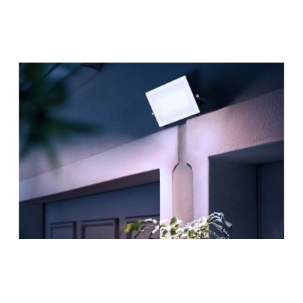 Philips - Светодиодный прожектор LOIS LED/50W/230V IP65 5000K