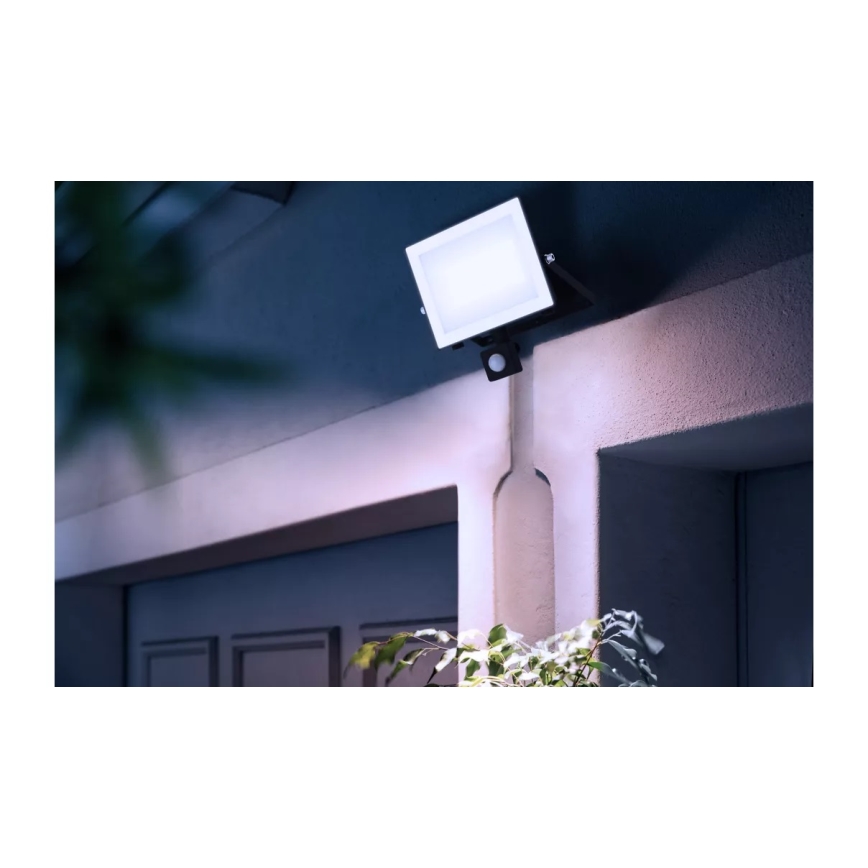 Philips - Светодиодный прожектор с датчиком LOIS LED/50W/230V IP65 5000K