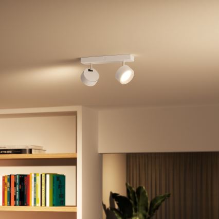 Philips - Светодиодный точечный светильник 2xLED/5,5W/230V белый