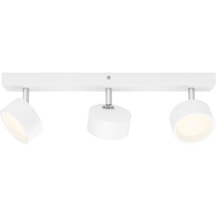 Philips - Светодиодный точечный светильник 3xLED/5,5W/230V белый