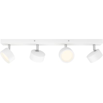 Philips - Светодиодный точечный светильник 4xLED/5,5W/230V белый