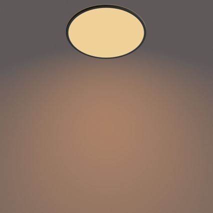 Philips - Светодиодный уличный светильник с регулированием яркости SUPERSLIM SCENE SWITCH LED/15W/230V IP54 черный