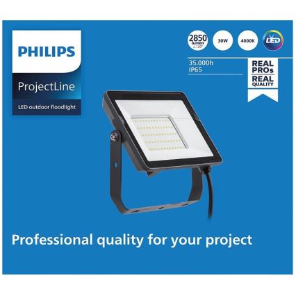 Philips - Светодиодный уличный прожектор PROJECTLINE LED/30W/230V IP65 4000K