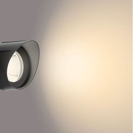 Philips - Светодиодный уличный точечный светильник LED/6W/12V 2700K IP44
