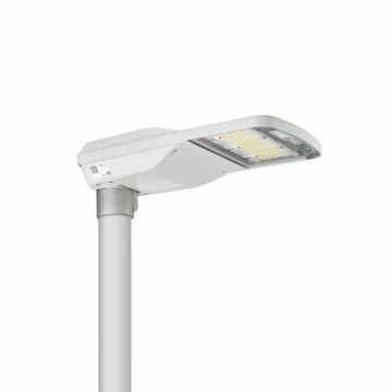 Philips - Светодиодный уличный светильник LUMISTREET LED/48W/230V IP66
