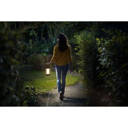 Philips - Світлодіодна переносна лампа з регулюванням яскравості CICERO LED/6W/5V IP54 1200 mAh
