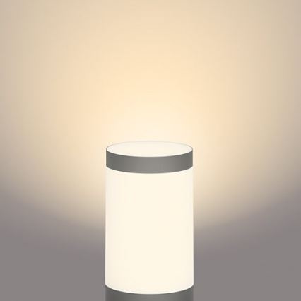 Philips - Світлодіодна вулична лампа GARDENLINK LED/24W/230V 2700K IP44