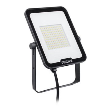 Philips - Світлодіодний прожектор LED/50W/230V 3000K IP65