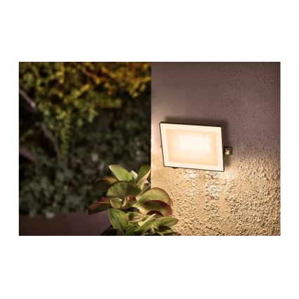 Philips - Світлодіодний прожектор LOIS LED/20W/230V IP65 3000K