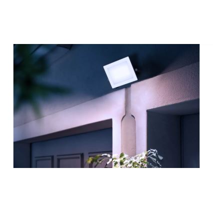 Philips - Світлодіодний прожектор LOIS LED/30W/230V IP65 5000K