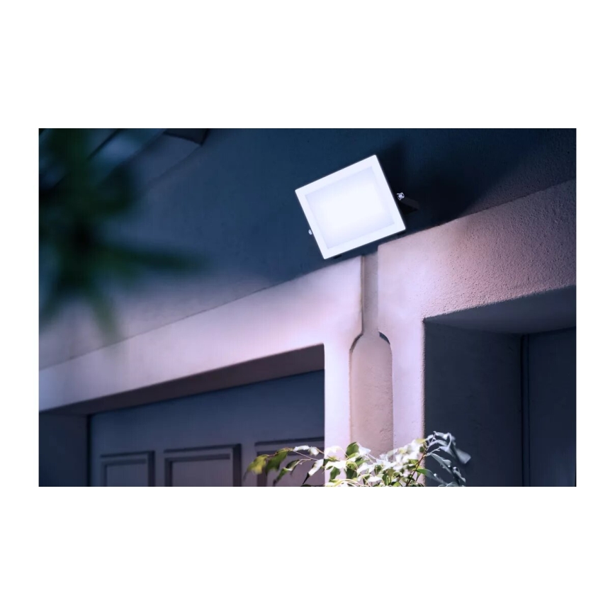 Philips - Світлодіодний прожектор LOIS LED/50W/230V IP65 5000K