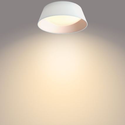 Philips - Світлодіодний стельовий світильник LED/14W/230V біла