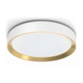 Philips - Світлодіодний стельовий світильник з регулюванням яскравості HANNO LED/24W/230V 2700K білий