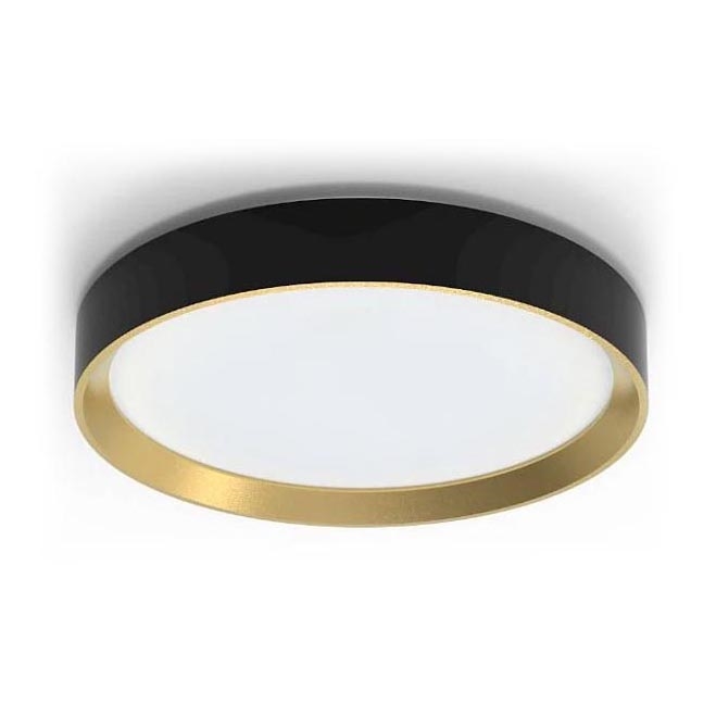 Philips - Світлодіодний стельовий світильник з регулюванням яскравості HANNO LED/24W/230V 2700K чорний