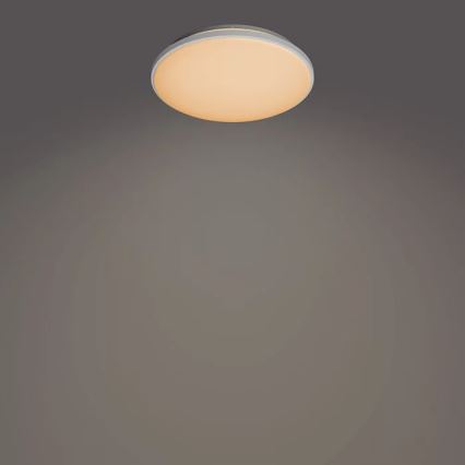 Philips - Світлодіодний стельовий світильник з регулюванням яскравості LED/24W/230V 2700-6500K + пульт дистанційного керування