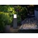 Philips - Світлодіодна вулична лампа LED/3,8W/230V 40 см IP44