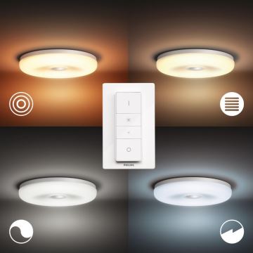Philips - Світлодіодний світильник для ванної з регулюванням яскравості Hue STRUANA LED/25W/230V IP44