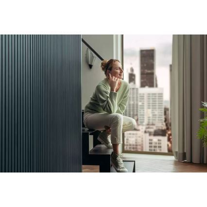 Philips TAT8505BK/00 - Беспроводные наушники IPX4 2x 55 mAh + 560 mAh черный