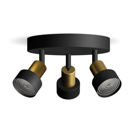 Philips - Точечный светильник CONDUIT 3xGU10/5W/230V черный/латунь