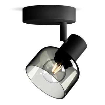 Philips - Точечный светильник SLEET 1xE14/25W/230V