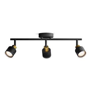 Philips - Точечный светильник NIALL 3xGU10/5W/230V черный/латунь