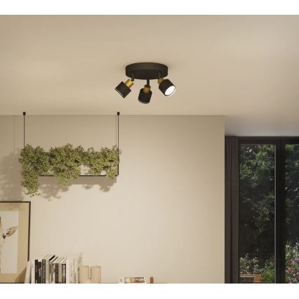 Philips - Точечный светильник NIALL 3xGU10/5W/230V черный/латунь