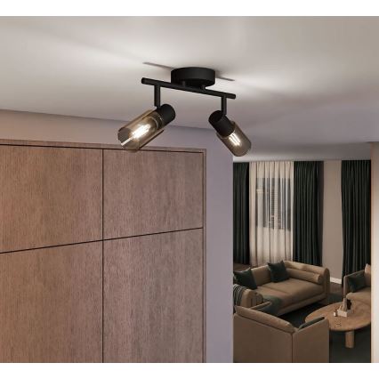 Philips - Точечный светильник PALMS 2xE14/25W/230V