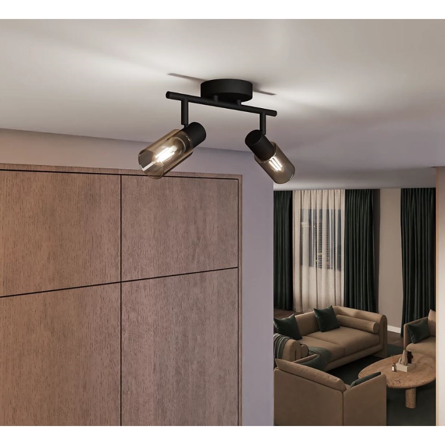 Philips - Точечный светильник PALMS 2xE14/25W/230V