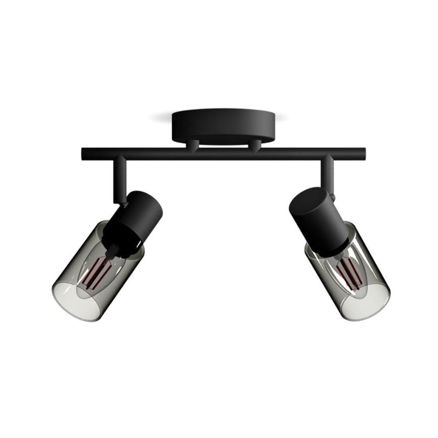 Philips - Точечный светильник PALMS 2xE14/25W/230V