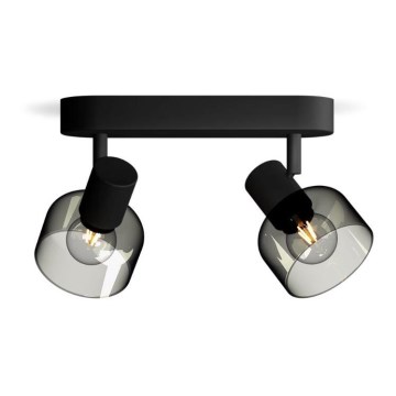 Philips - Точечный светильник SLEET 2xE14/25W/230V