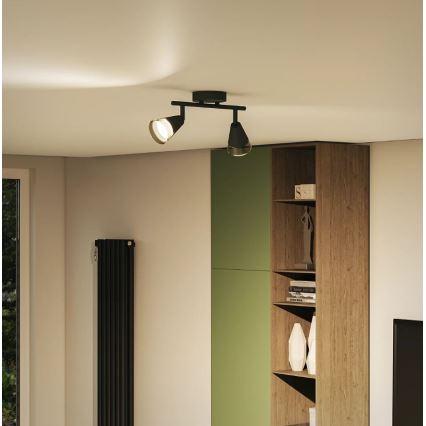 Philips - Точковий світильник CLEFT 2xGU10/5W/230V